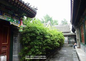 Pekin- Shichahai 076